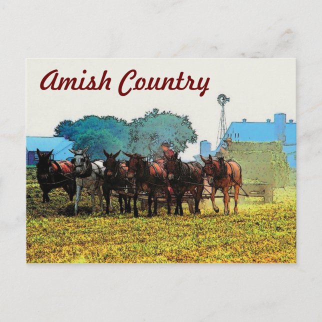 Carte postale Amish Farming (Devant)