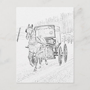 Carte Postale Amish Sketch-Horse et Buggy-Postcard