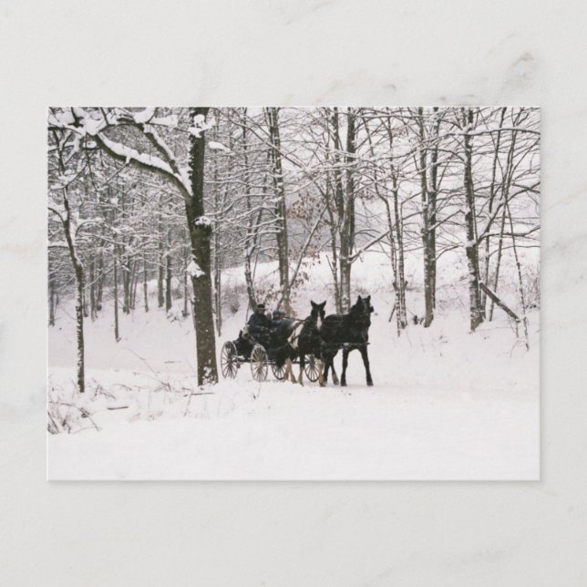 Carte postale Amish Winter Snow Scene (Devant)
