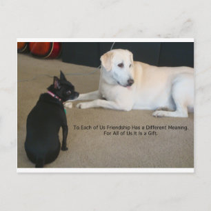 Carte Postale Amitié des chiens