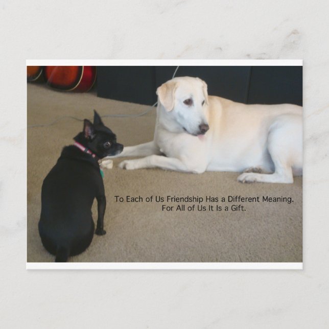 Carte Postale Amitié des chiens (Devant)