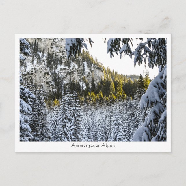 Carte Postale Ammergauer Alpen (Devant)