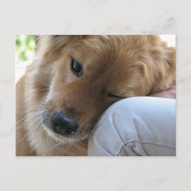 Carte Postale Amour (Devant)