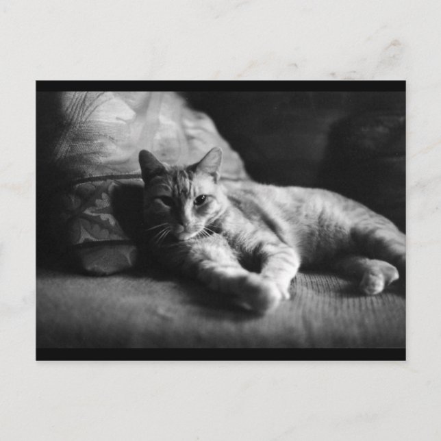 Carte Postale Amour (Devant)