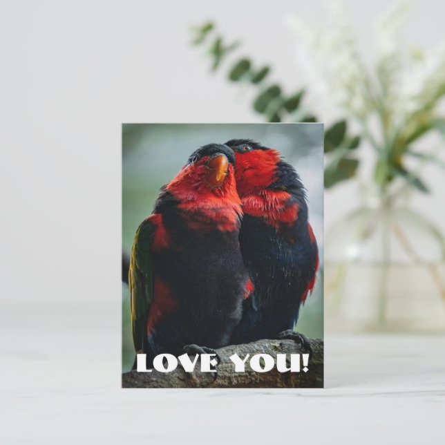Carte Postale Amour (Debout devant)