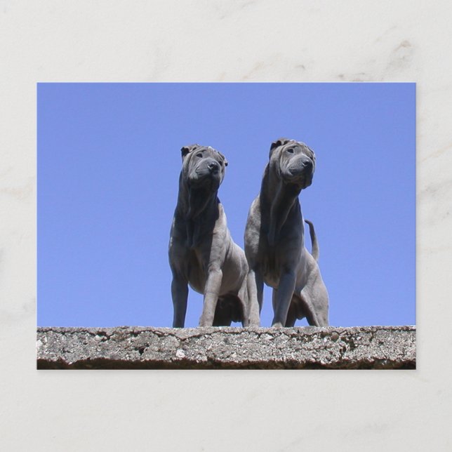 Carte Postale Amour... (Devant)