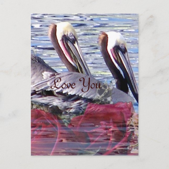 Carte Postale Amour_ (Devant)