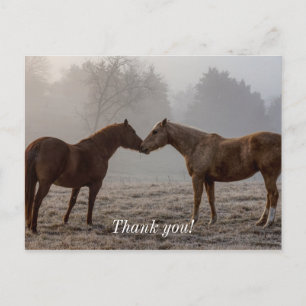 Carte Postale Amour de Cheval Merci