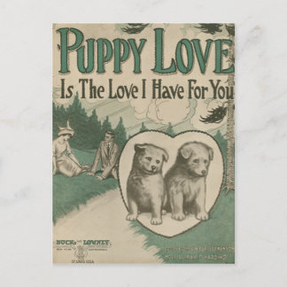 Carte Postale Amour de chiot