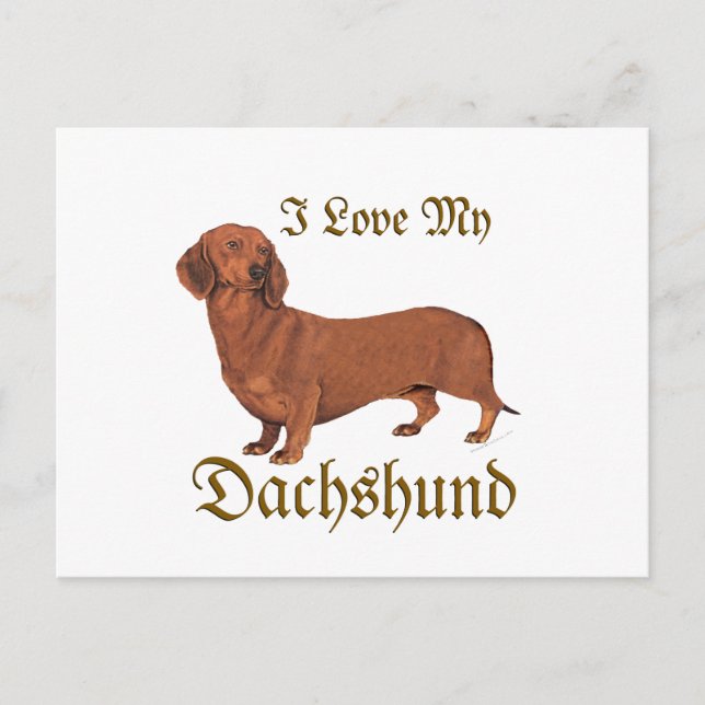 Carte Postale Amour de Dachshund (Devant)