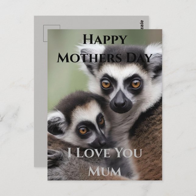Carte Postale **"Amour de la mère : Mummy and Baby Lemur Cuddlin (Devant / Derrière)