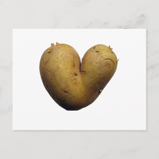 Carte Postale Amour de la pomme de terre (Devant)