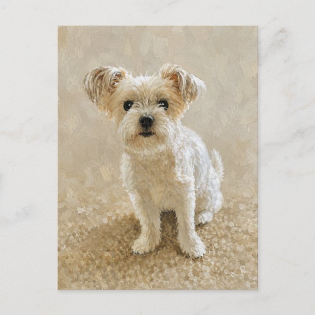 Carte Postale Amour de Morkie (Devant)