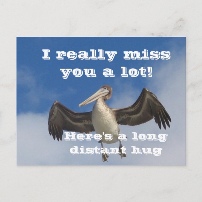 Carte Postale Amour de Pélican_ (Devant)