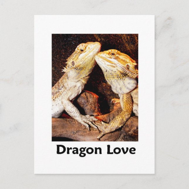 Carte Postale amour du dragon (Devant)