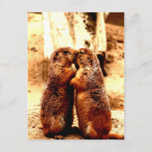 Carte Postale Amour et baisers du chien de prairie