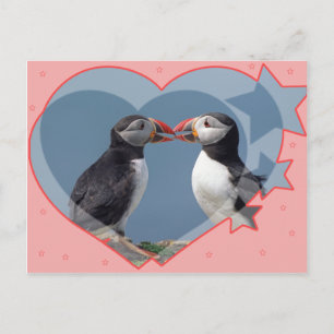 Carte Postale Amour et oiseaux