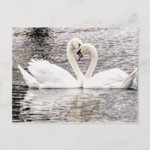 Carte Postale Amour éternel