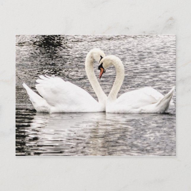 Carte Postale Amour éternel (Devant)