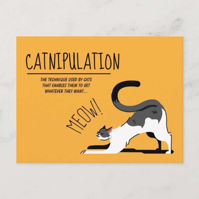 Carte Postale Amoureux de les chats de catapulation Meow Design (Devant)