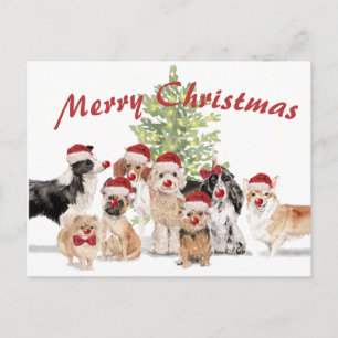 Carte Postale Amoureux de les chiens de Noël Joyeux Père Noël