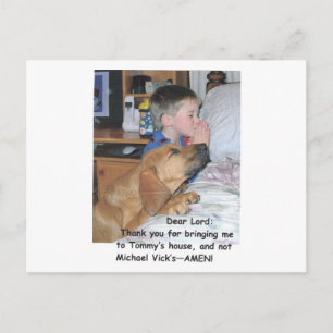 Carte postale - Amoureux des animaux