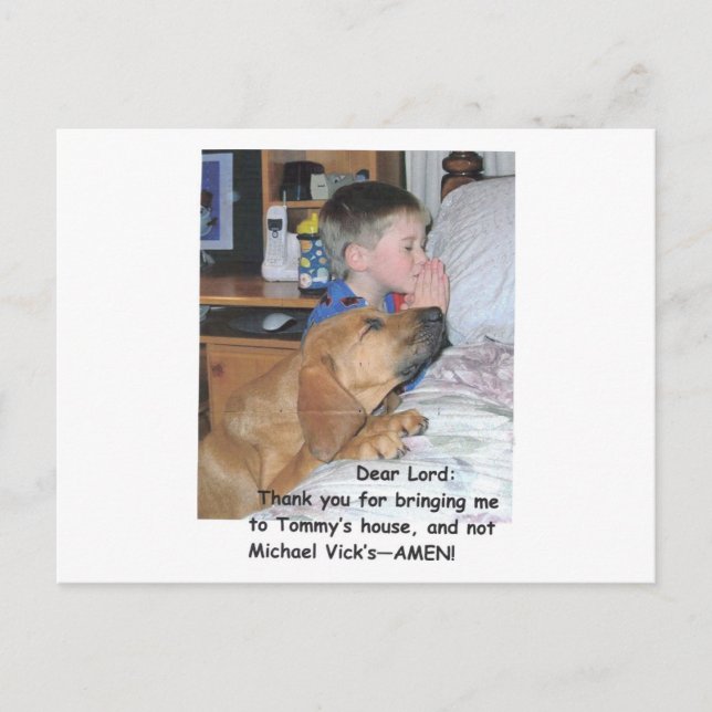 Carte postale - Amoureux des animaux (Devant)