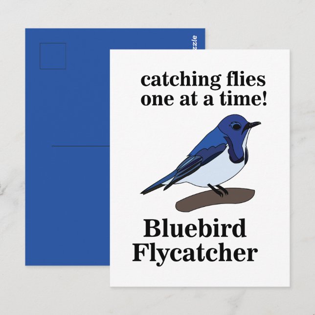 Carte Postale Amoureux des oiseaux bleus amusant (Devant / Derrière)