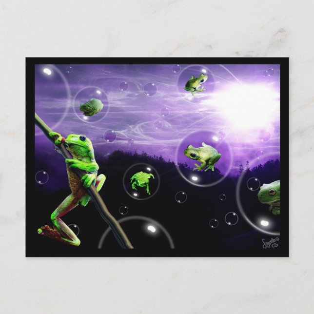 Carte Postale Amphibia Bubblemania (Devant)