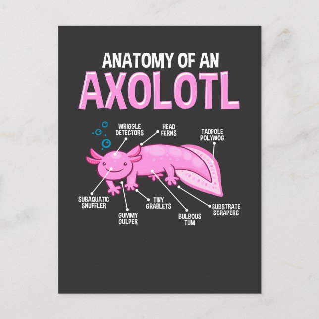 Carte Postale Amphibien drôle Axolotl Anatomie Biologie mignonne (Devant)