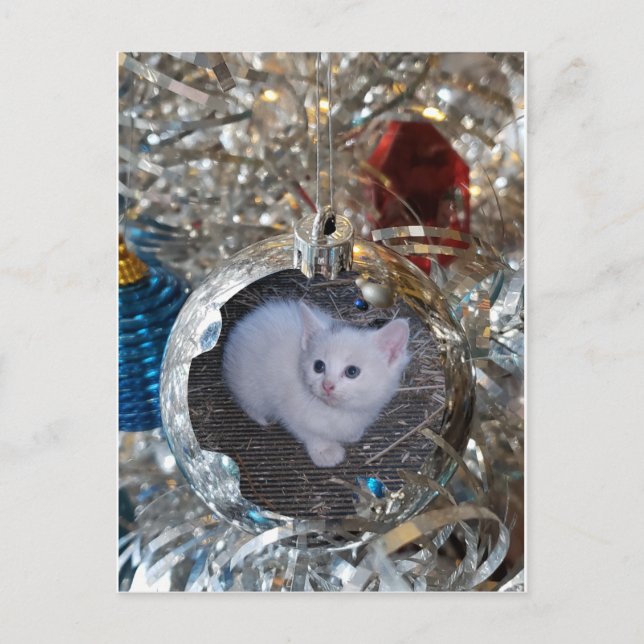 Carte Postale Ampoule en argent Cadre complet (Devant)