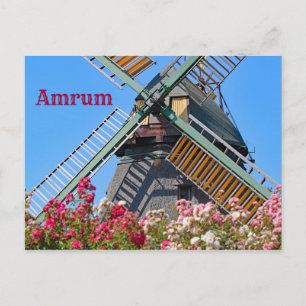 Carte Postale Amrum Windmill, Nebel, Nordfriesland, Allemagne