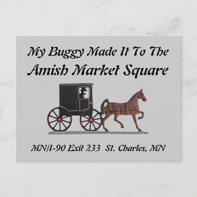 CARTE POSTALE AMS (Devant)