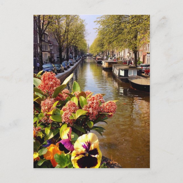 Carte Postale Amsterdam Canal Sunny Fall Day Bloemgracht (Devant)