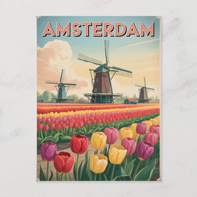 Carte Postale Amsterdam tulip champ vintage (Devant)