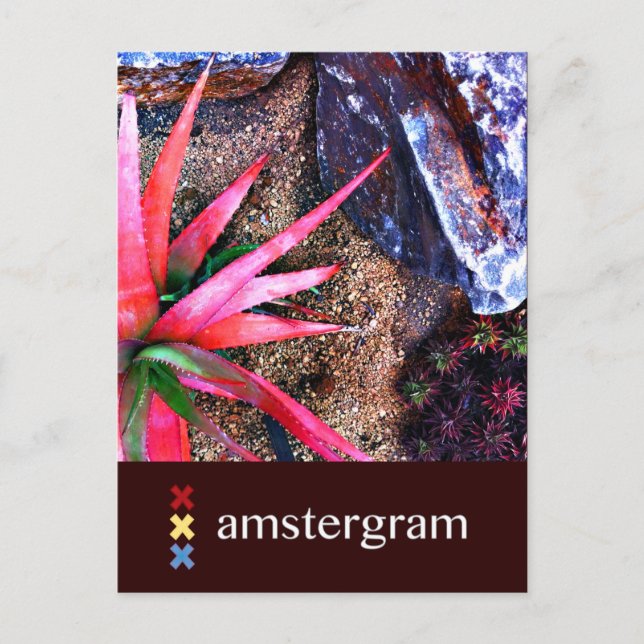 Carte Postale Amstergram du désert (Devant)