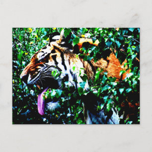 Carte Postale Amur Tiger pc arc4