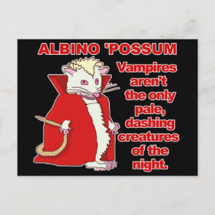 Carte Postale Amusant Albino Possum Vampire Animal