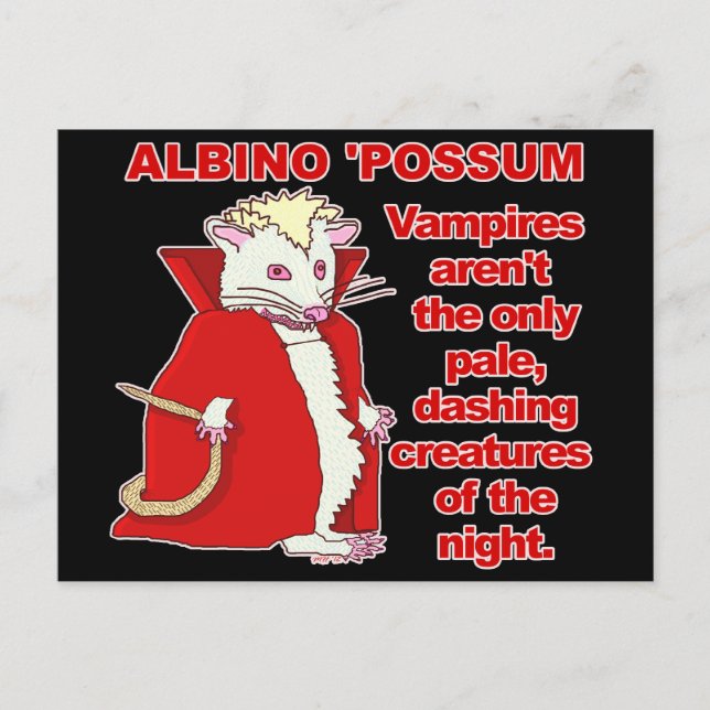 Carte Postale Amusant Albino Possum Vampire Animal (Devant)