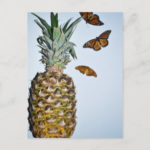 Carte Postale Amusant ananas