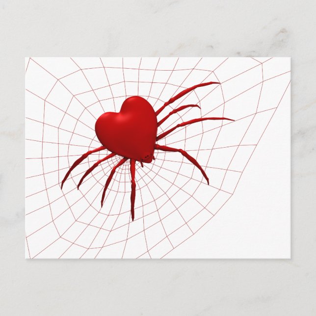 Carte Postale Amusant Araignée Orb-Weaver (Devant)