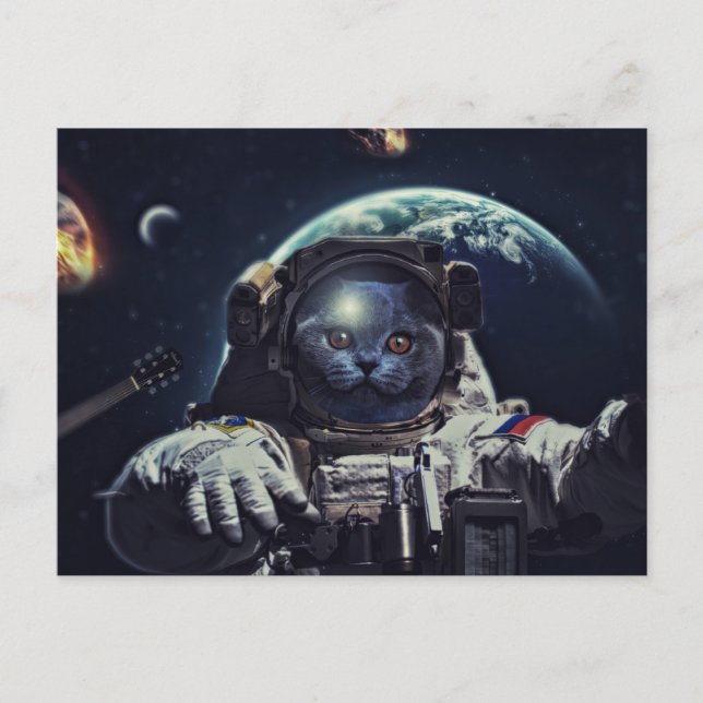 Carte Postale Amusant astronaute Shorthair Chat en Spa (Devant)