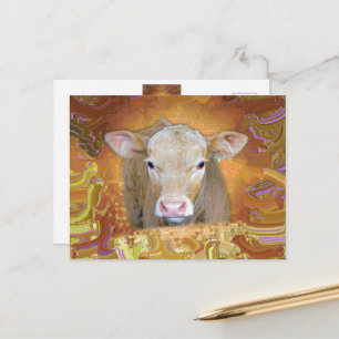 Carte Postale Amusant et mignon petit veau aux grands yeux