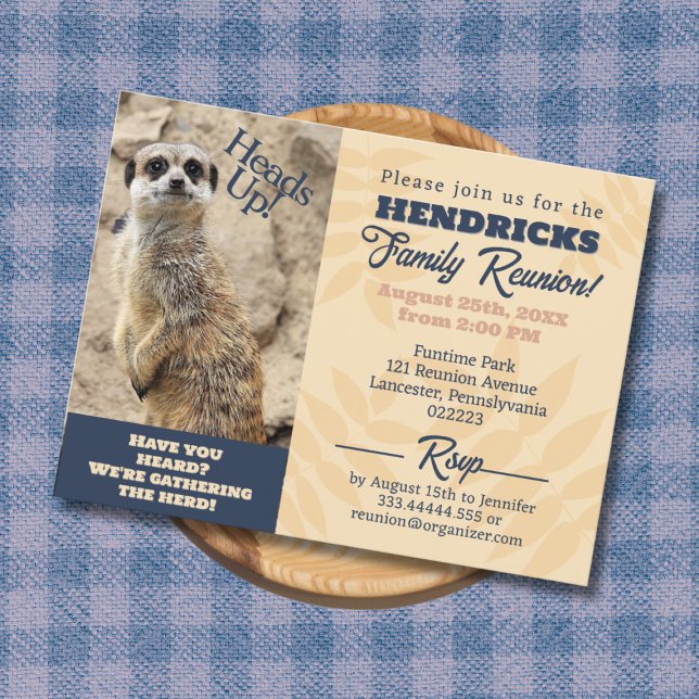 Carte Postale Amusant, unique Meerkat Famille Réunion Enregistre (Funny Family Reunion Invitation with Meerkat)