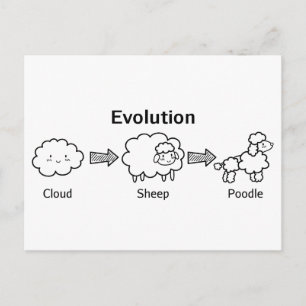 Carte Postale Amusante évolution des nuages en mouton et caniche