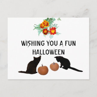 Carte Postale Amusants Halloween Citrouilles orange Marigolds Ch