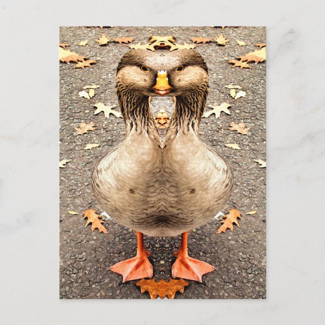 CARTE POSTALE AMUSEMENT ANIMAL (Devant)