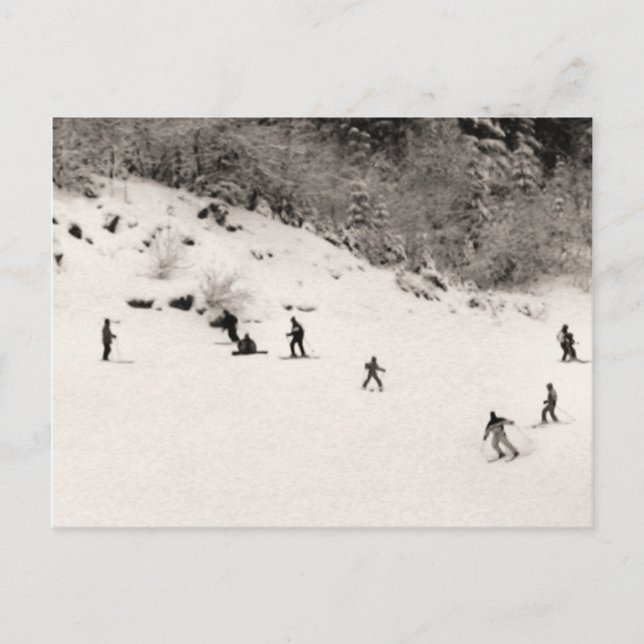 Carte Postale Amusement sur les pistes de ski (Devant)