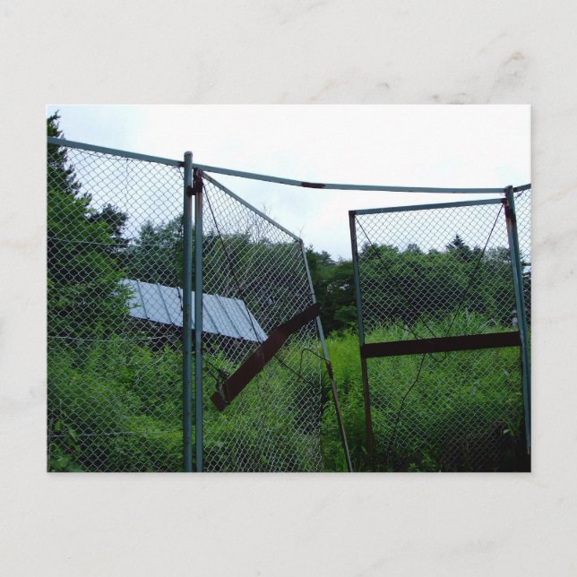 Carte Postale An abandoned house beyond the broken fence. (Devant)