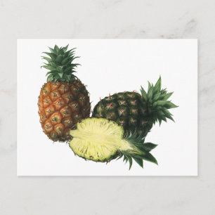 Carte Postale Ananas Hawaiien vintage, Fruit de nourriture biolo